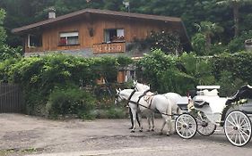 Al Cervo Tra I Laghi